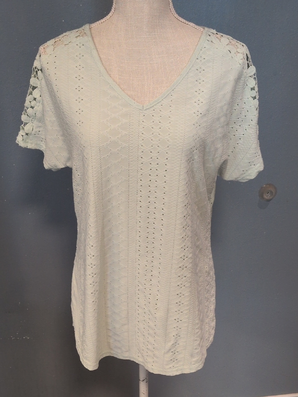 Mod Lily Vneck Flowy Eyelet Floral Lace Short Sleeve Blouse Feminine Spring